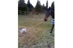 Concours photos 2012  "Sport pour tous et dveloppement durable" 